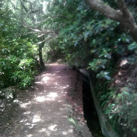 Cc39- Q5 * Funchal (Madeira)